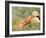 Young Girls on the River Bank-Pierre-Auguste Renoir-Framed Giclee Print