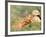 Young Girls on the River Bank-Pierre-Auguste Renoir-Framed Giclee Print