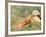 Young Girls on the River Bank-Pierre-Auguste Renoir-Framed Giclee Print