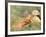 Young Girls on the River Bank-Pierre-Auguste Renoir-Framed Giclee Print