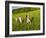 Young girls running in field, Sabins Pasture, Montpelier, Vermont, USA-Jerry & Marcy Monkman-Framed Photographic Print