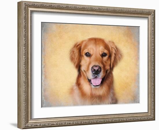 Young Golden Retriever Portrait-Jai Johnson-Framed Giclee Print