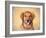 Young Golden Retriever Portrait-Jai Johnson-Framed Giclee Print