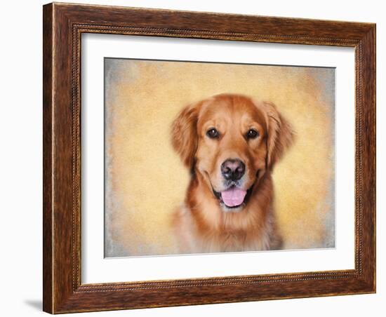 Young Golden Retriever Portrait-Jai Johnson-Framed Giclee Print