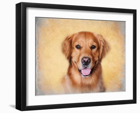 Young Golden Retriever Portrait-Jai Johnson-Framed Giclee Print