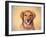 Young Golden Retriever Portrait-Jai Johnson-Framed Giclee Print