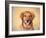 Young Golden Retriever Portrait-Jai Johnson-Framed Giclee Print