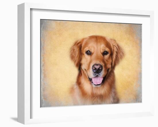 Young Golden Retriever Portrait-Jai Johnson-Framed Giclee Print