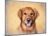 Young Golden Retriever Portrait-Jai Johnson-Mounted Giclee Print