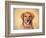 Young Golden Retriever Portrait-Jai Johnson-Framed Giclee Print