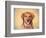 Young Golden Retriever Portrait-Jai Johnson-Framed Giclee Print