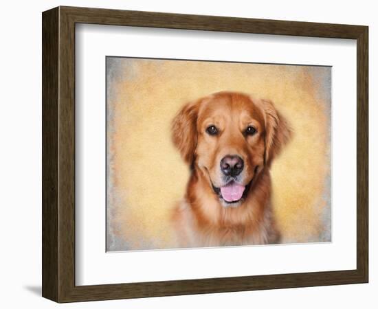 Young Golden Retriever Portrait-Jai Johnson-Framed Giclee Print