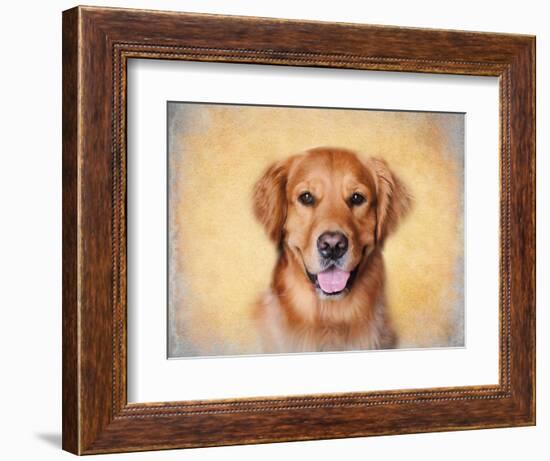 Young Golden Retriever Portrait-Jai Johnson-Framed Giclee Print