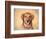 Young Golden Retriever Portrait-Jai Johnson-Framed Giclee Print