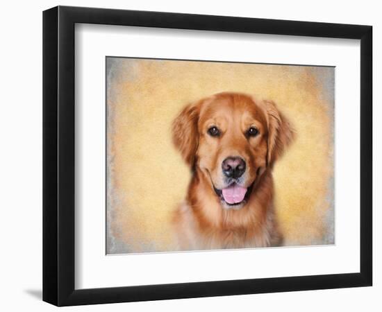 Young Golden Retriever Portrait-Jai Johnson-Framed Giclee Print