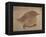 Young Goldfinch-Jennifer Kennard-Framed Premier Image Canvas