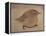 Young Goldfinch-Jennifer Kennard-Framed Premier Image Canvas