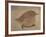 Young Goldfinch-Jennifer Kennard-Framed Photographic Print