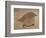 Young Goldfinch-Jennifer Kennard-Framed Photographic Print