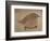 Young Goldfinch-Jennifer Kennard-Framed Photographic Print