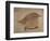 Young Goldfinch-Jennifer Kennard-Framed Photographic Print