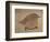 Young Goldfinch-Jennifer Kennard-Framed Photographic Print