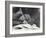 Young Gorilla 'John David' Aged 5 Years Being Held by a Keeper on a Blanket at London Zoo-Frederick William Bond-Framed Photographic Print