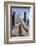 Young Great White Pelican Head-Reinhard Dirscherl-Framed Photographic Print