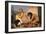 Young Greeks-null-Framed Giclee Print