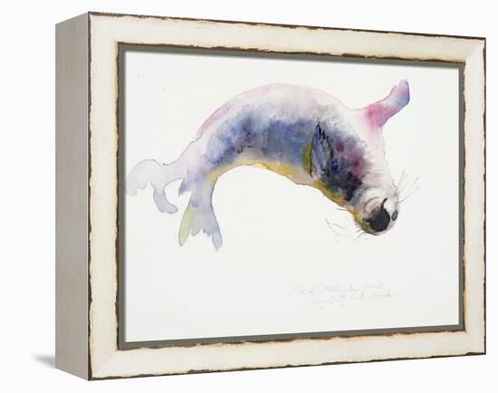 Young Grey Seal, Gweek, 2003-Mark Adlington-Framed Premier Image Canvas