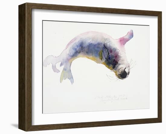 Young Grey Seal, Gweek, 2003-Mark Adlington-Framed Giclee Print