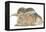 Young Grey Squirrel and Sandy Rabbit-Mark Taylor-Framed Premier Image Canvas