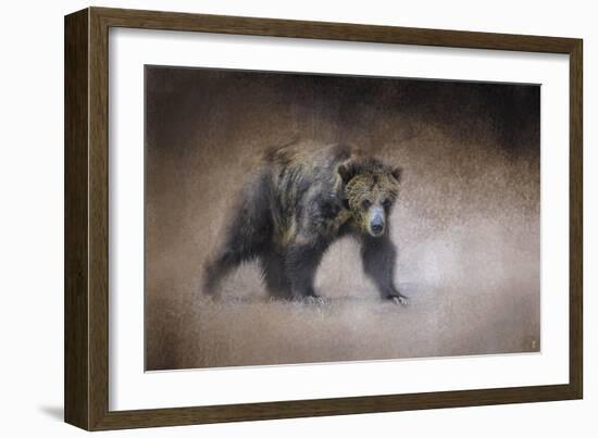 Young Grizzly Bear-Jai Johnson-Framed Giclee Print