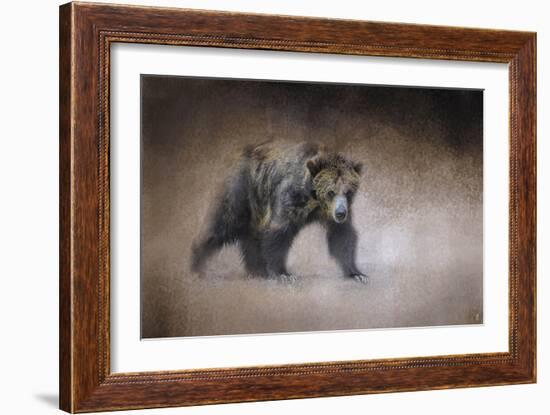 Young Grizzly Bear-Jai Johnson-Framed Giclee Print