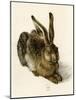 Young Hare-Albrecht Dürer or Duerer-Mounted Giclee Print