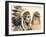 Young Hawk-unknown Ampel-Framed Art Print