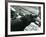 Young Hippopotamus 'Bobbie' with a Keeper at London Zoo, September 1920-Frederick William Bond-Framed Photographic Print