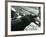 Young Hippopotamus 'Bobbie' with a Keeper at London Zoo, September 1920-Frederick William Bond-Framed Photographic Print