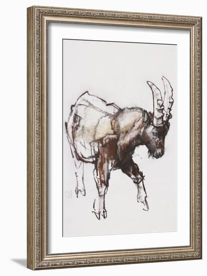 Young Ibex, Gran Paradiso, 2005-Mark Adlington-Framed Giclee Print