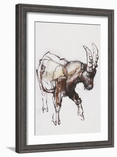 Young Ibex, Gran Paradiso, 2005-Mark Adlington-Framed Giclee Print