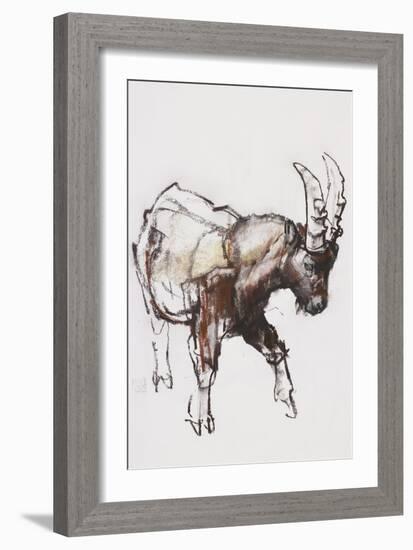 Young Ibex, Gran Paradiso, 2005-Mark Adlington-Framed Giclee Print