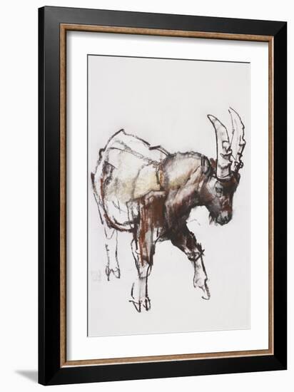 Young Ibex, Gran Paradiso, 2005-Mark Adlington-Framed Giclee Print