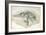 Young Ichthyosaurus from Lyme Regis-English School-Framed Giclee Print