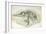 Young Ichthyosaurus from Lyme Regis-English School-Framed Giclee Print