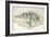 Young Ichthyosaurus from Lyme Regis-English School-Framed Giclee Print