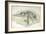 Young Ichthyosaurus from Lyme Regis-English School-Framed Giclee Print