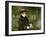 Young Lady in the Park, C1880-Mary Cassatt-Framed Giclee Print