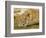 Young Lion in Grass-Arthur Morris-Framed Photographic Print