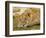 Young Lion in Grass-Arthur Morris-Framed Photographic Print