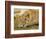 Young Lion in Grass-Arthur Morris-Framed Photographic Print